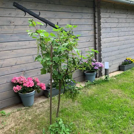 Appartamento Heidezeit No 4 Neuenkirchen  Esterno foto